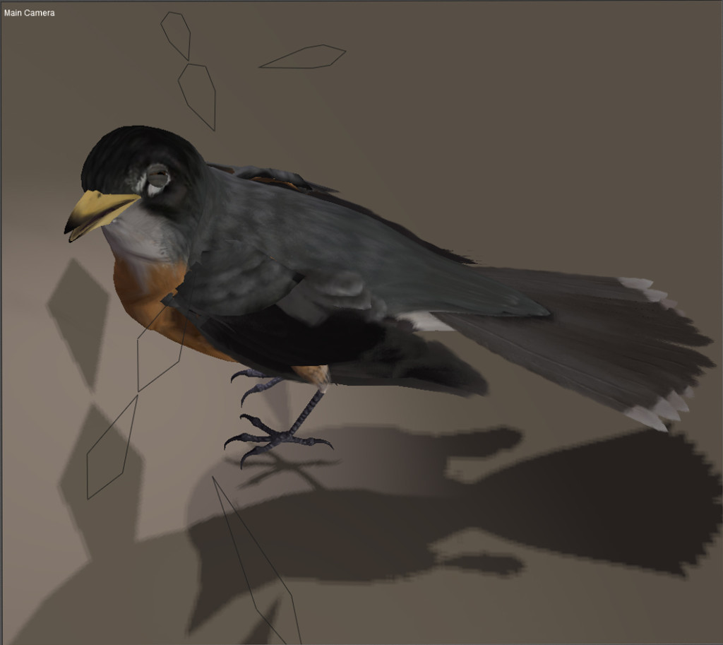 Bird_texture_robin