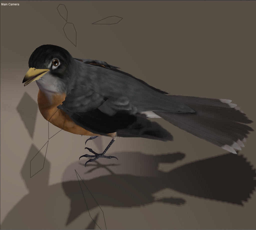 Bird_texture_robin_fat