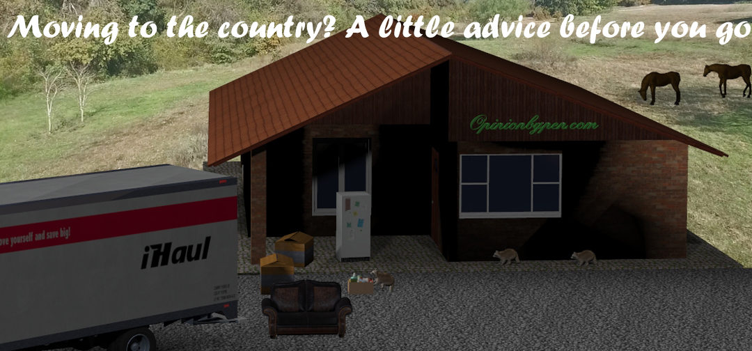 Some Advice Before You Move To The Country