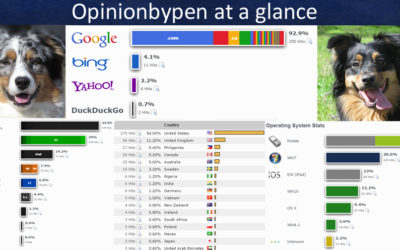 Making Decisions Based On Website Data