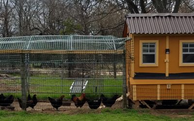 The Solar Powered Chicken Coop Fan Project