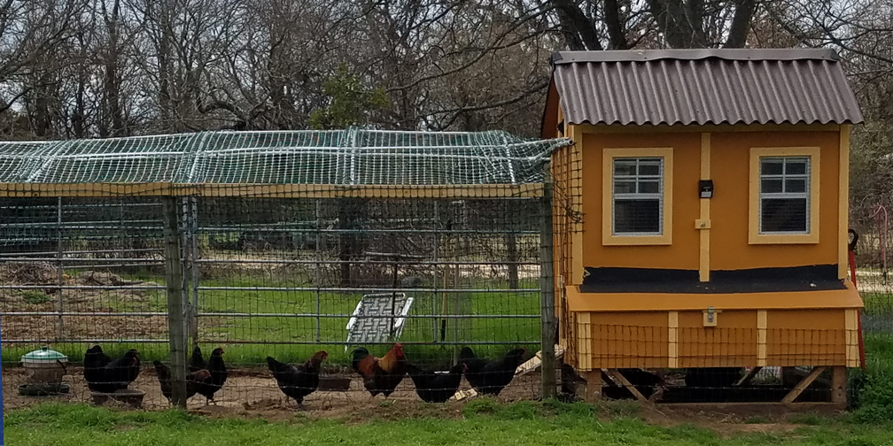 The Solar Powered Chicken Coop Fan Project