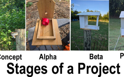A Modern Birdfeeder Project In Four Stages