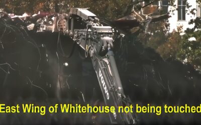 Midterms Are Coming, They May Be Our Last Chance To Vote