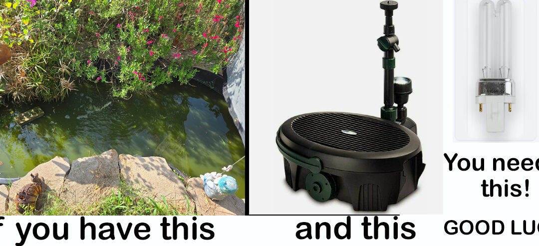 If You Own A Pennington 5 in 1 Pond Filter, You Need To Read This
