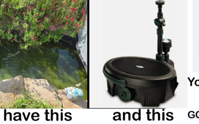 If You Own A Pennington 5 in 1 Pond Filter, You Need To Read This